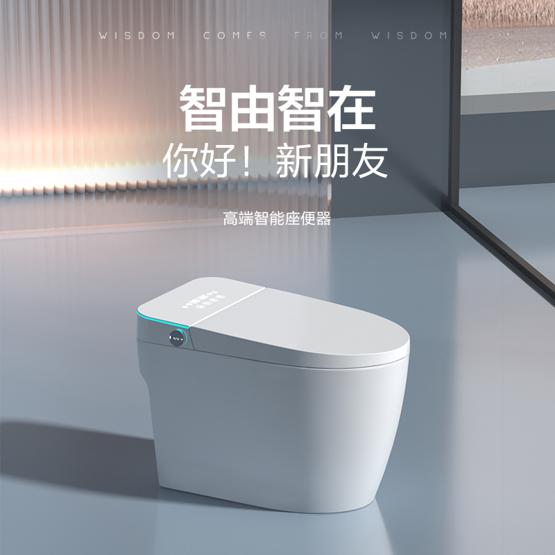 G613 Smart toilet