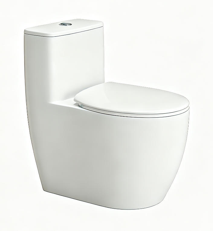 852 One piece toilet